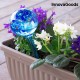 AQUA GLOBES - dekorace a samočinný zavlažovač květů