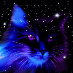 5D Diamantová mozaika - Souhvězdí kočka