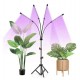 LED Lampa pre rast rastlín Gardlov 4 ks