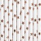 Papierové slamky - Stars - 19,5cm (10ks)