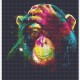 5D Diamantová mozaika - Farebná opica