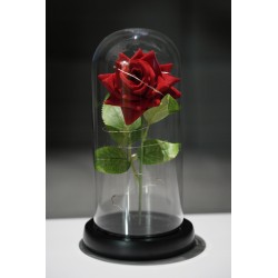 Věčná růže - RGB single - červená