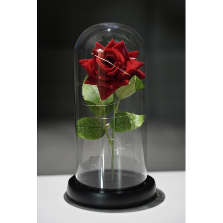 Věčná růže - RGB single - červená