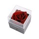 Věčná růže v dárkové krabičce